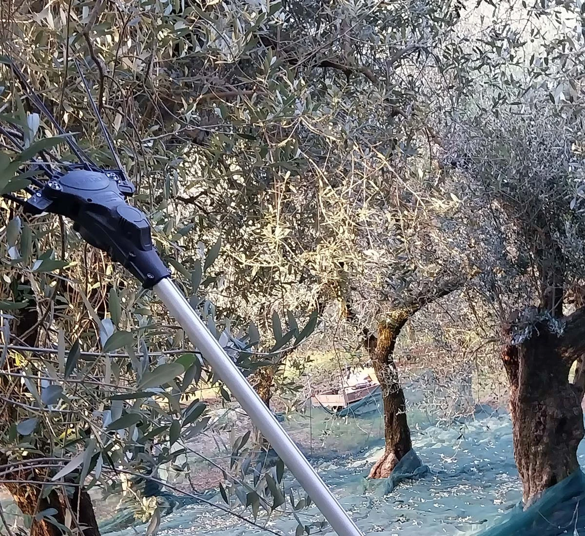 🍽️ L'Eccellenza in Cucina